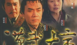 历史电视剧大全,揭秘电视剧中的历史传奇